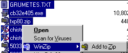 winzip5.gif (3477 bytes)