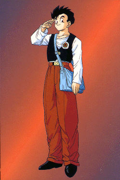 Gohan estudioso